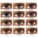 FreshLook ColorBlends FreshLook ColorBlends